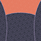 SL2516